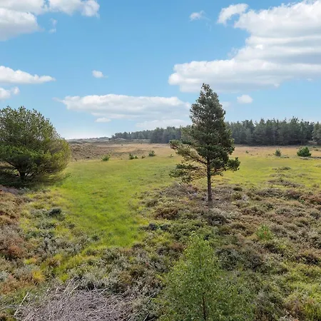 Amazing In With Wifi