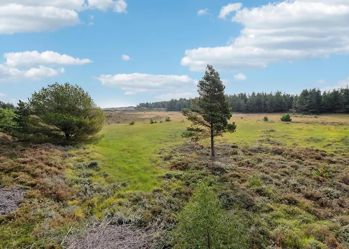 Amazing In With Wifi